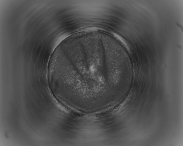 X0000091361194200709071256