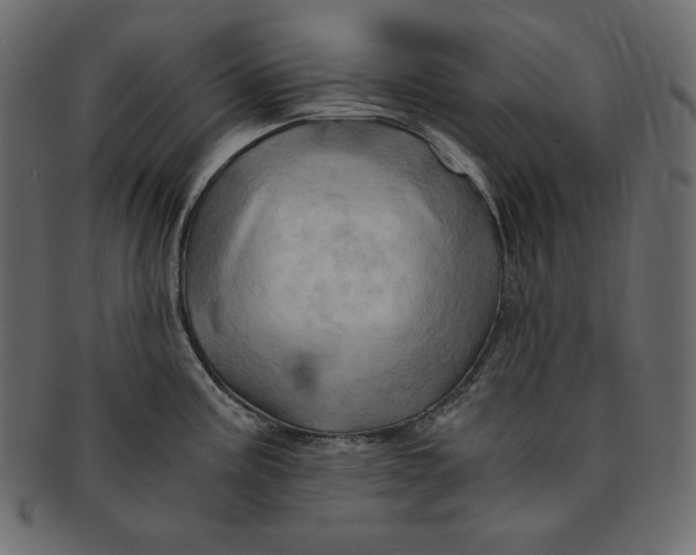 X0000091361195200709071256