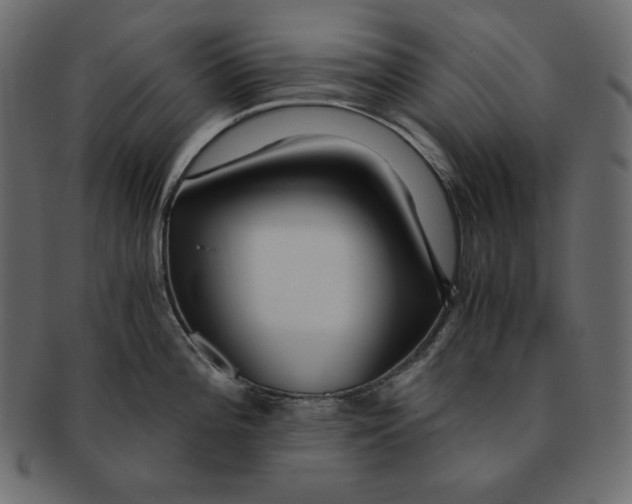X0000091361196200709071256