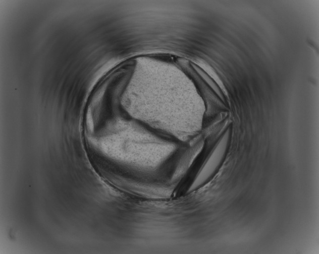 X0000091361197200709071256