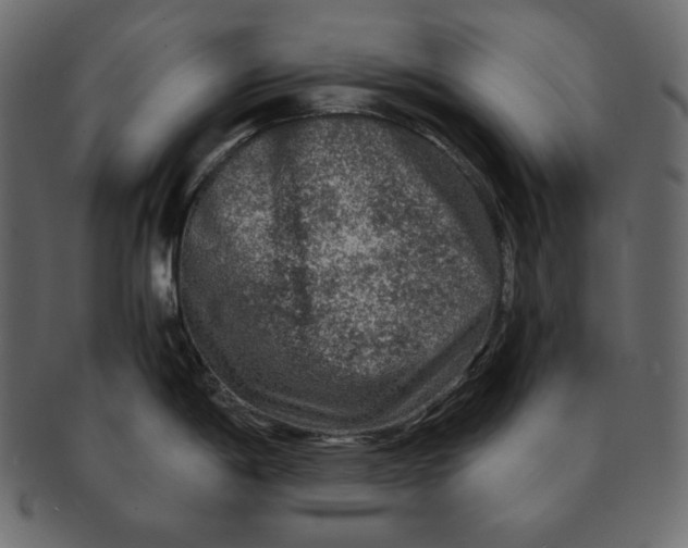 X0000091361198200709071256