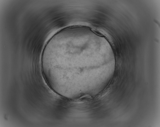 X0000091361199200709071256