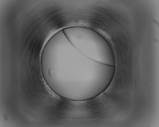 X0000091361200200709071256