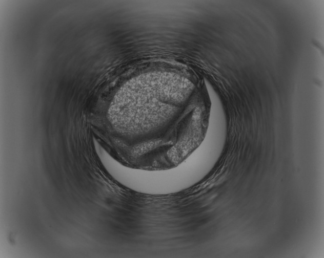 X0000091361202200709071255