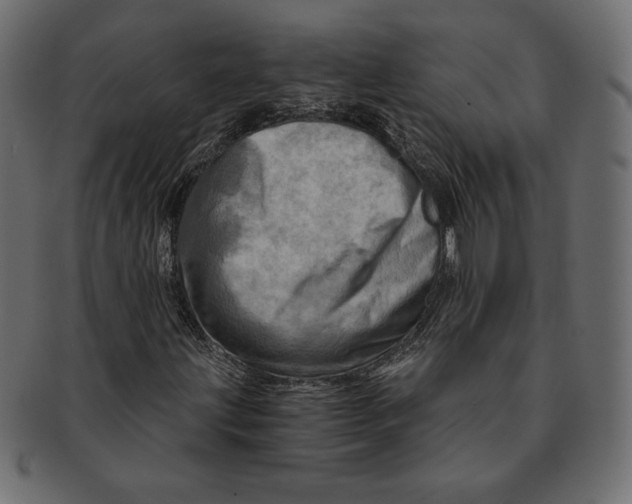 X0000091361203200709071255