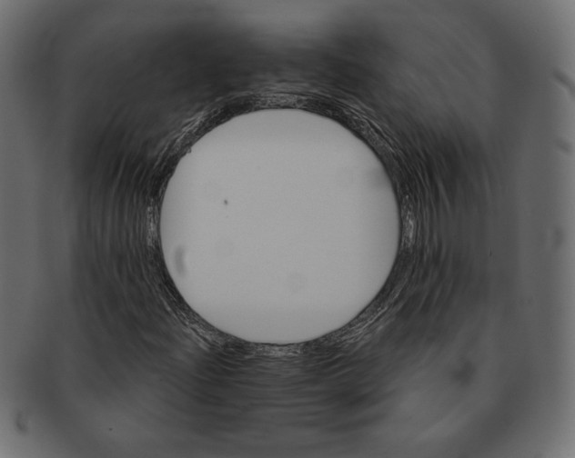 X0000091361204200709071255