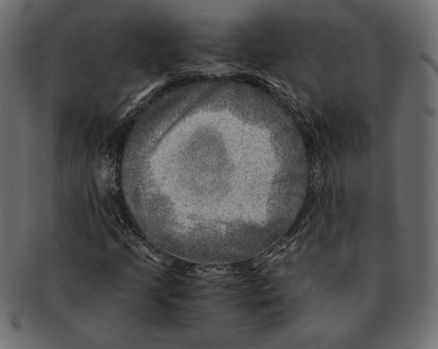X0000091361205200709071255