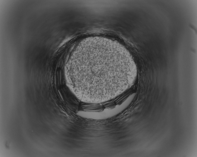 X0000091361206200709071255