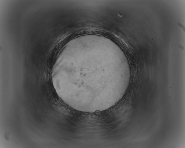 X0000091361207200709071255
