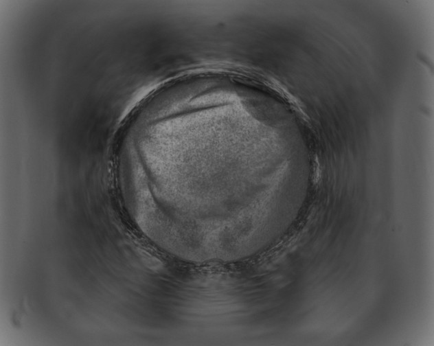 X0000091361208200709071255