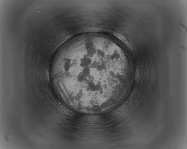 X0000091361209200709071255