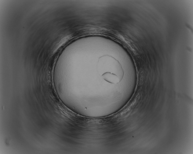 X0000091361211200709071255