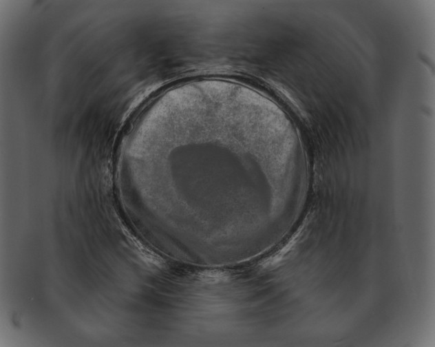 X0000091361212200709071255