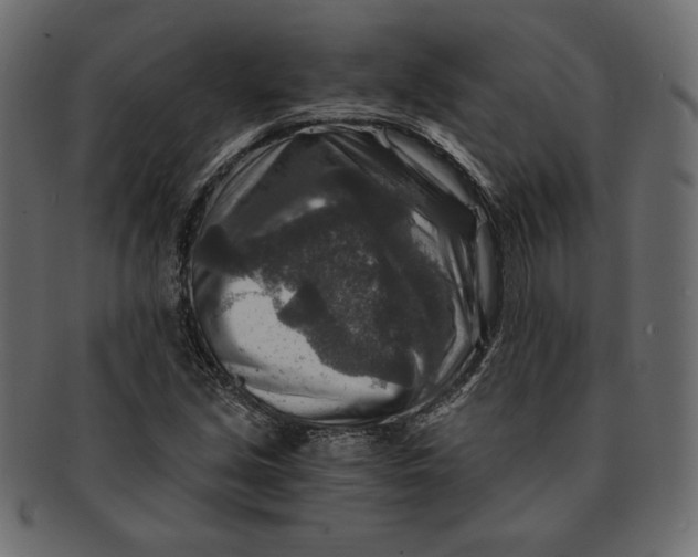 X0000091361213200709071255
