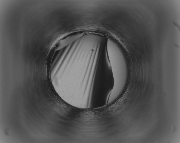 X0000091361214200709071255