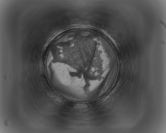 X0000091361215200709071255