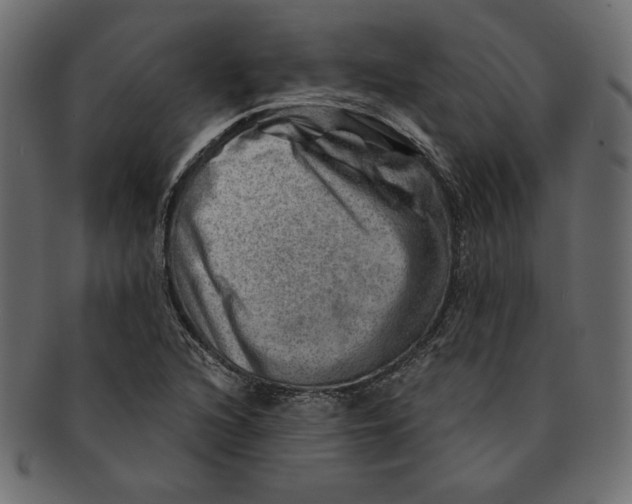 X0000091361216200709071255