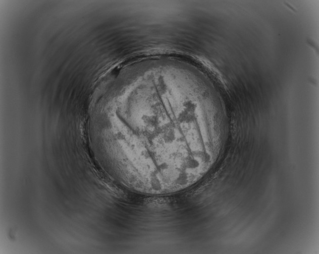 X0000091361217200709071255