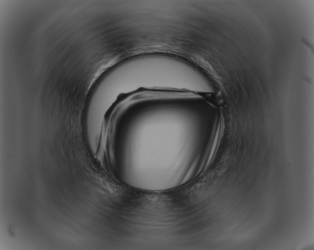 X0000091361218200709071255