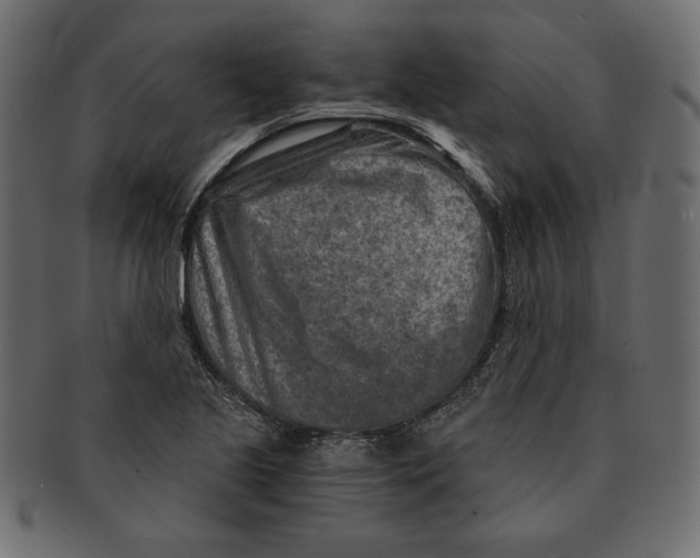 X0000091361221200709071255