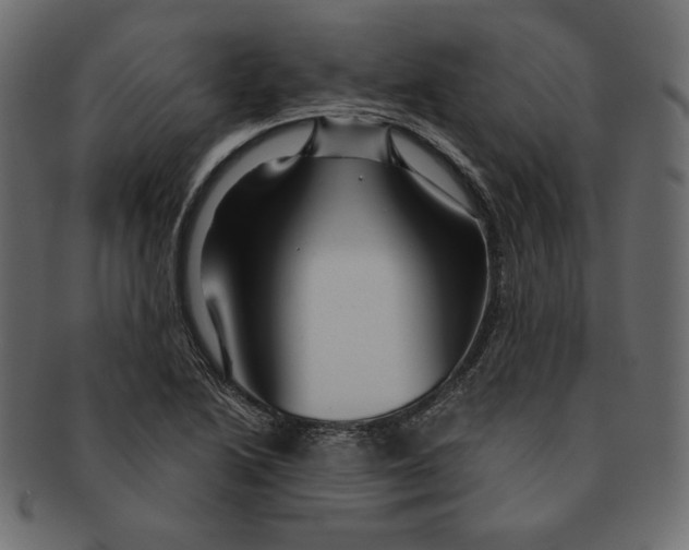 X0000091361222200709071255