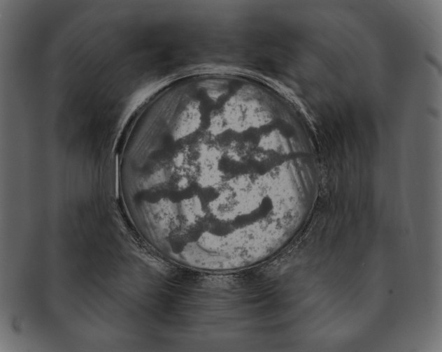 X0000091361223200709071255
