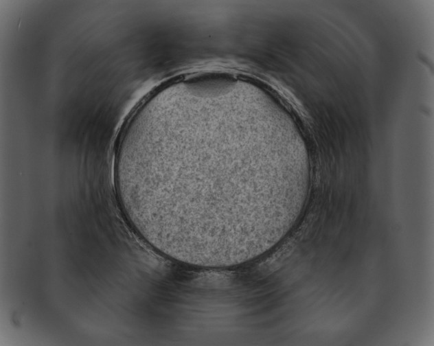 X0000091361224200709071255