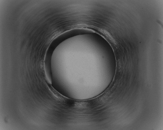 X0000091361225200709071255