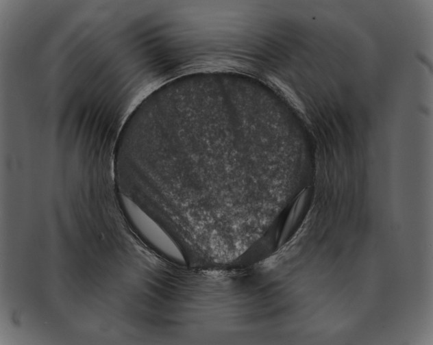 X0000091361226200709071255