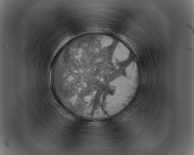 X0000091361227200709071255