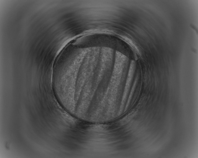 X0000091361228200709071255