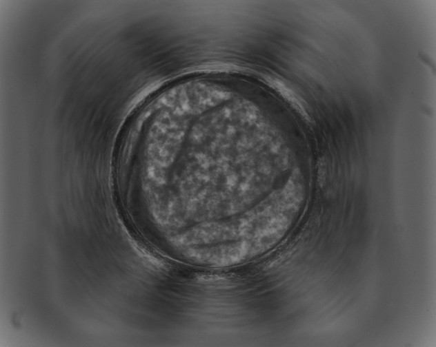 X0000091361229200709071255