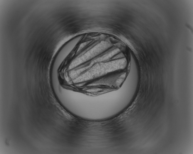 X0000091361230200709071255