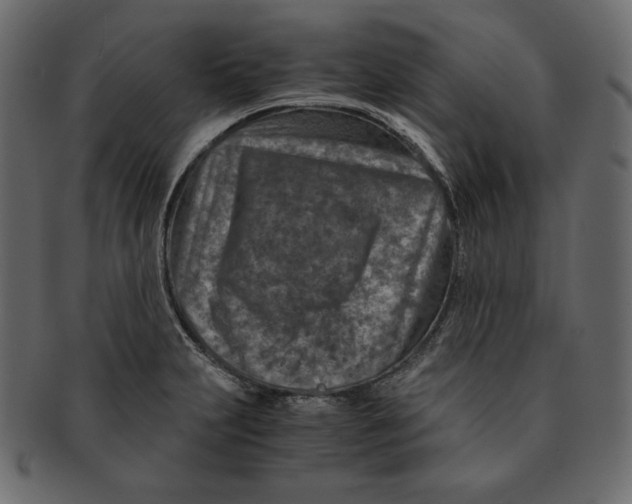X0000091361231200709071255