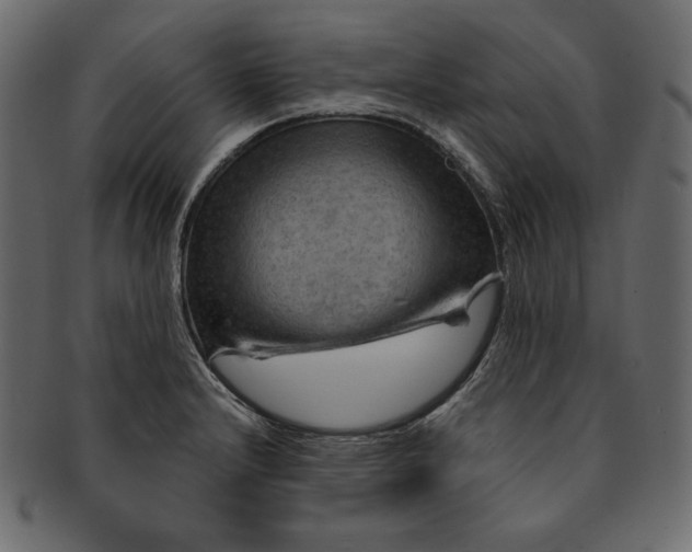 X0000091361232200709071255