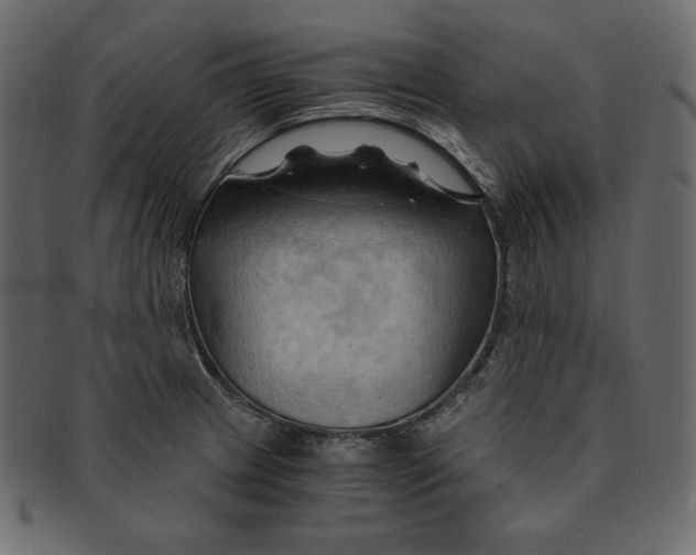 X0000091361233200709071255
