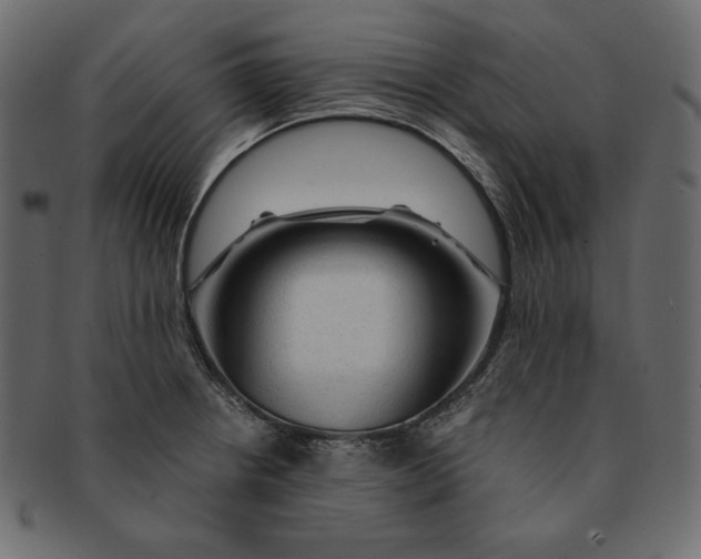 X0000091361234200709071255