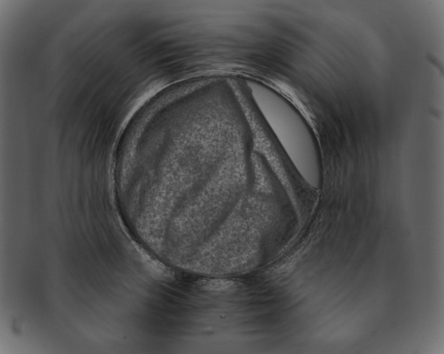 X0000091361235200709071255