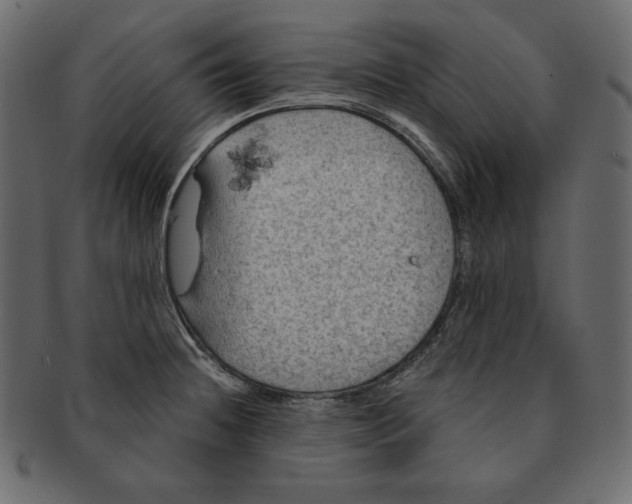 X0000091361236200709071255