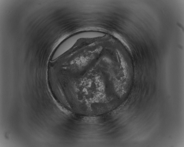 X0000091361237200709071255