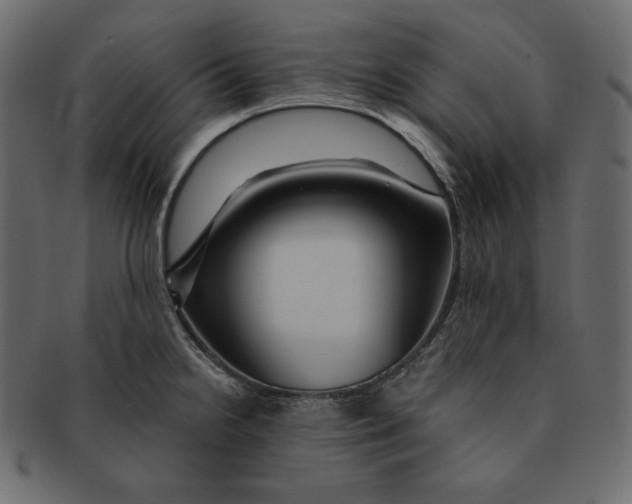 X0000091361238200709071255