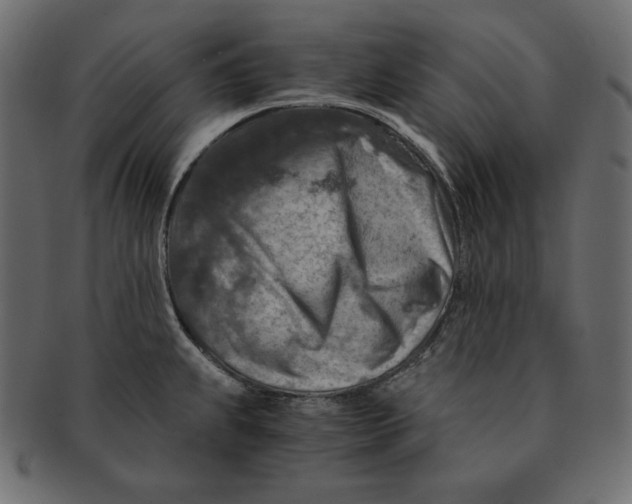 X0000091361239200709071255