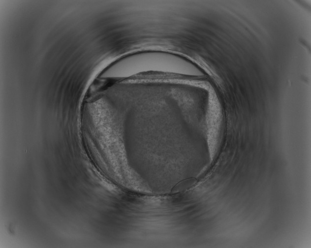 X0000091361240200709071255