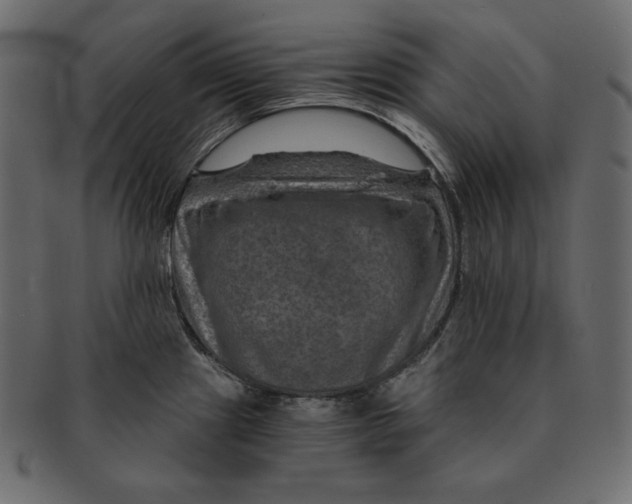 X0000091361241200709071255