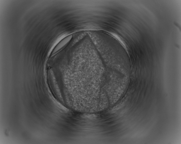 X0000091361243200709071255
