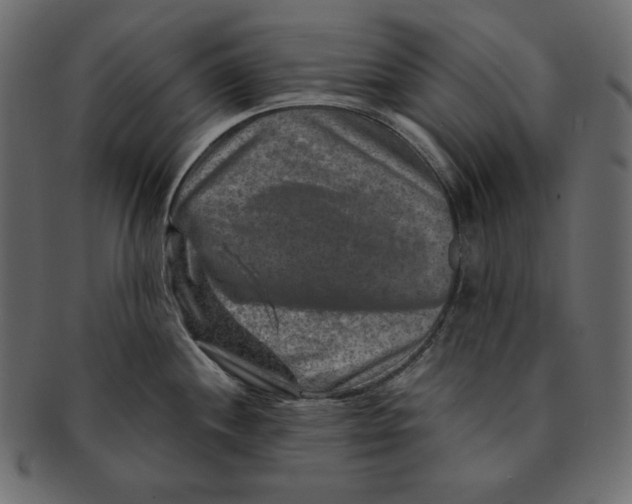 X0000091361244200709071255