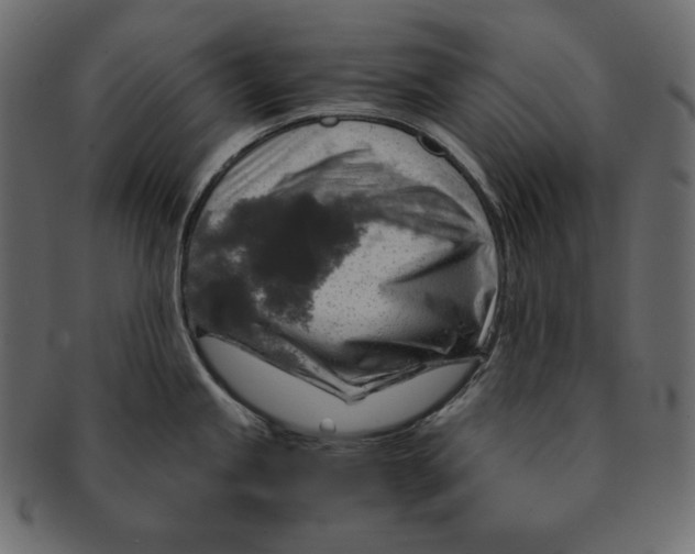 X0000091361245200709071256