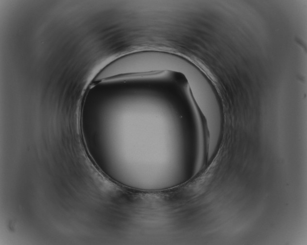 X0000091361246200709071256