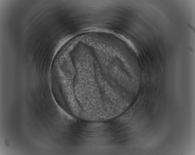 X0000091361247200709071256