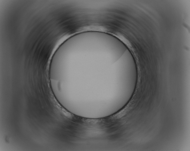 X0000091361248200709071256
